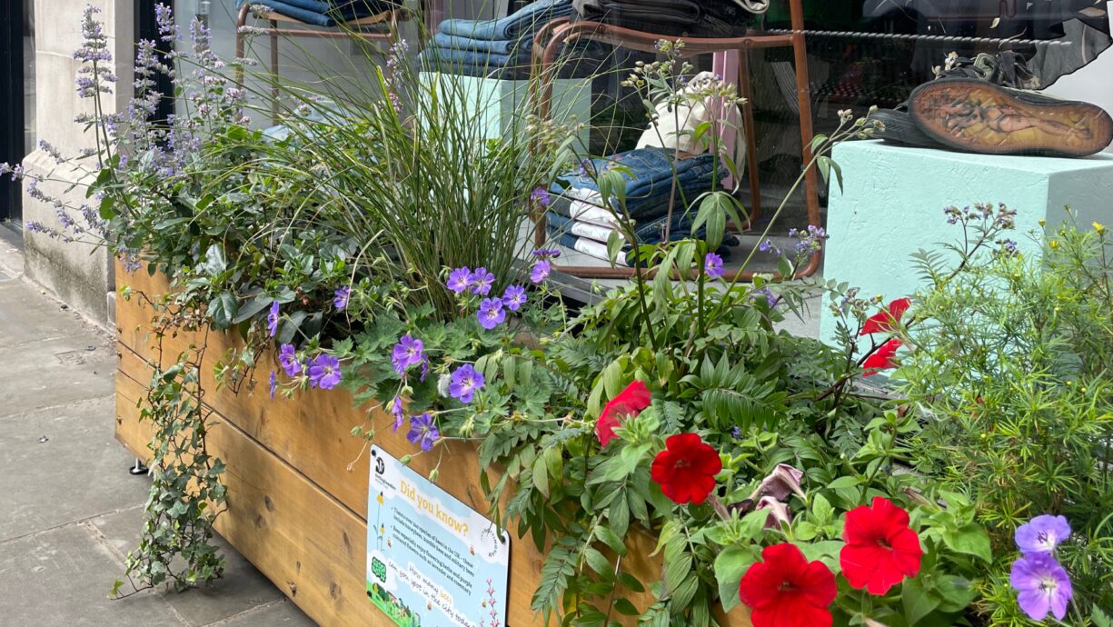 9c766e378a49f4dd29b665c739ea068cac9498b9 1920x1080 q75fitclipautoformat