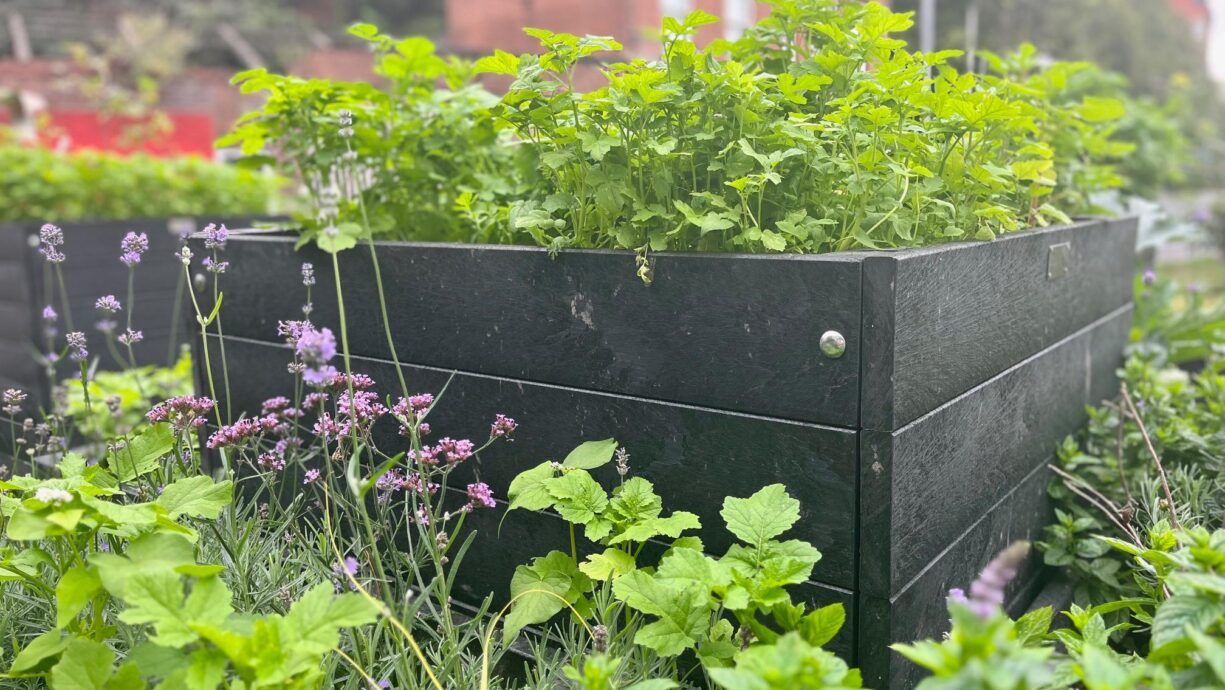 Ee7ce3e5b001470b6f1b2b358912c6a8eee94efa 2016x1512 q75fitclipautoformat