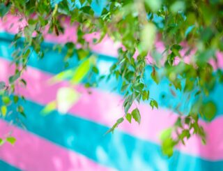 Ea0793346a02b50e2cb8519135b03146134fe3e8 940x788 w2400q80fitclipautoformat