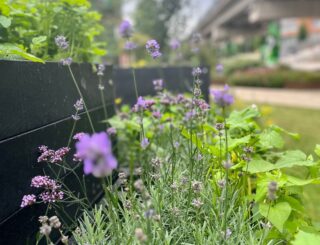 5262858f8f2a5492580fa7893ac3da8c129c8905 1512x2016 w2400q80fitclipautoformat