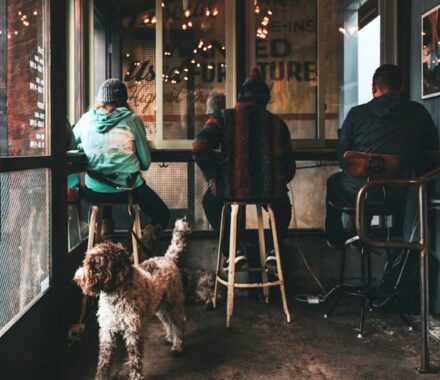 4a262d3d29236e0b2e82185ef1d68ee6e7a51224 940x788 w2400q80fitclipautoformat