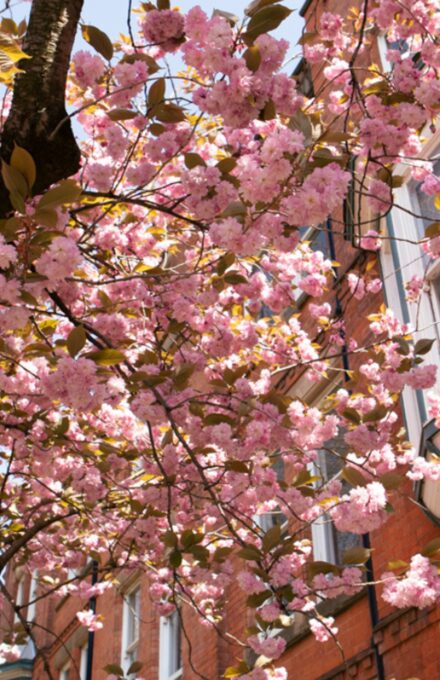 6bfc08bacf465d46abacdf62a2924268c6e54d0c 940x788 w2400q80fitclipautoformat